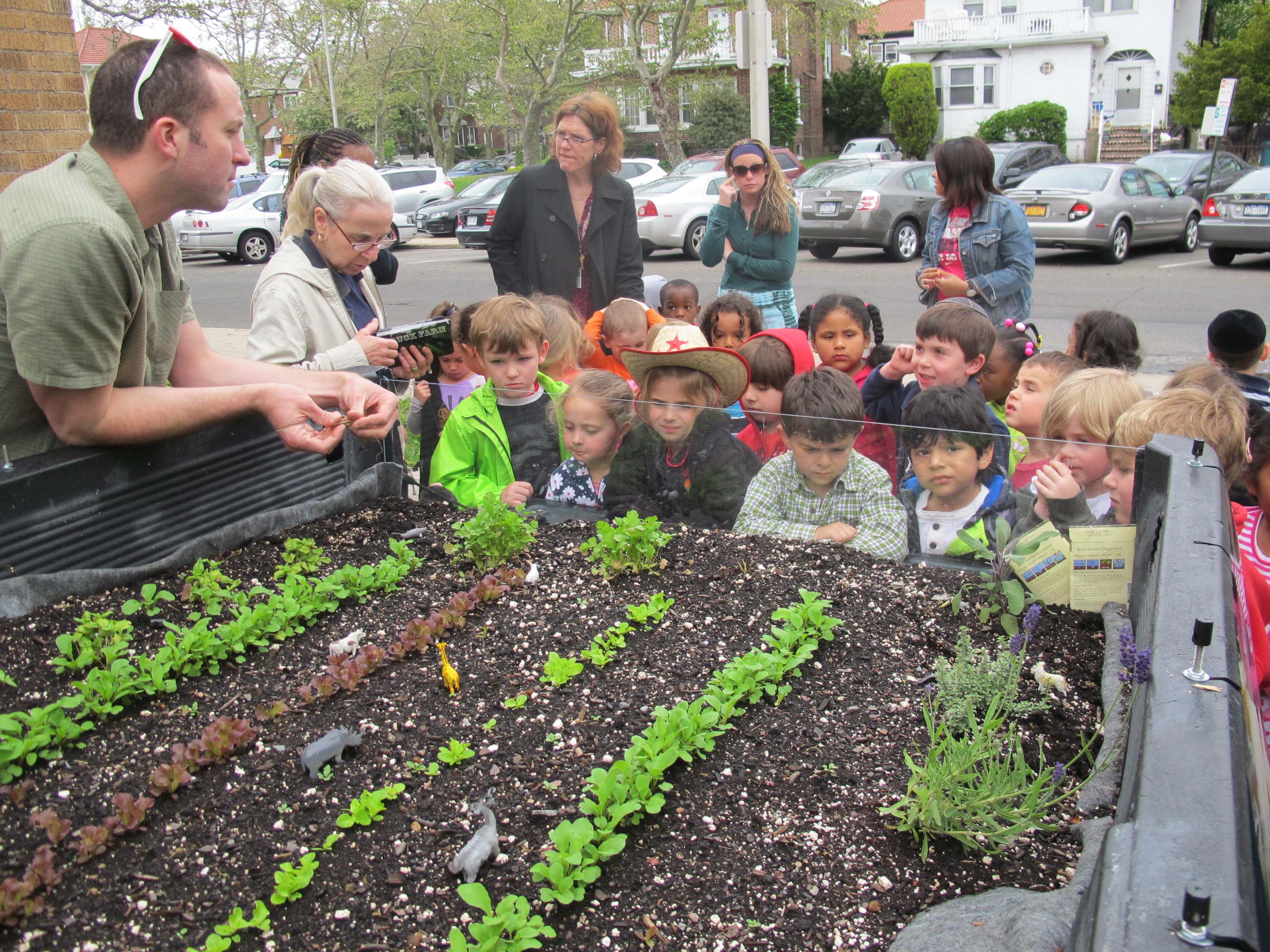 webassets/kidsgardening.JPG